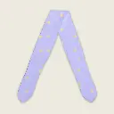 Levander Peach Dot Design Mockup 2.webp