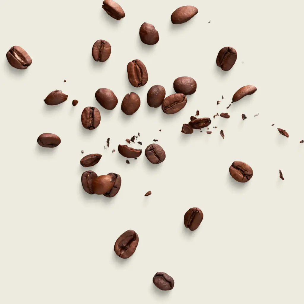 coffee bags opened 3.webp