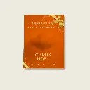 Citrus Noel Mood Aroma Diffuser - Limited Edition - round 2.webp