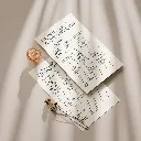 Daily Record — First Edition Mockups 7.webp