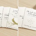 Soft Armor Mom Relief System – 4‑Piece Bundle 2.webp