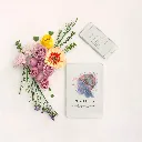 Chaos and Clarity Mockups 5.webp