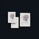 Chaos & Clarity Journal and Digital Mockups 4.webp