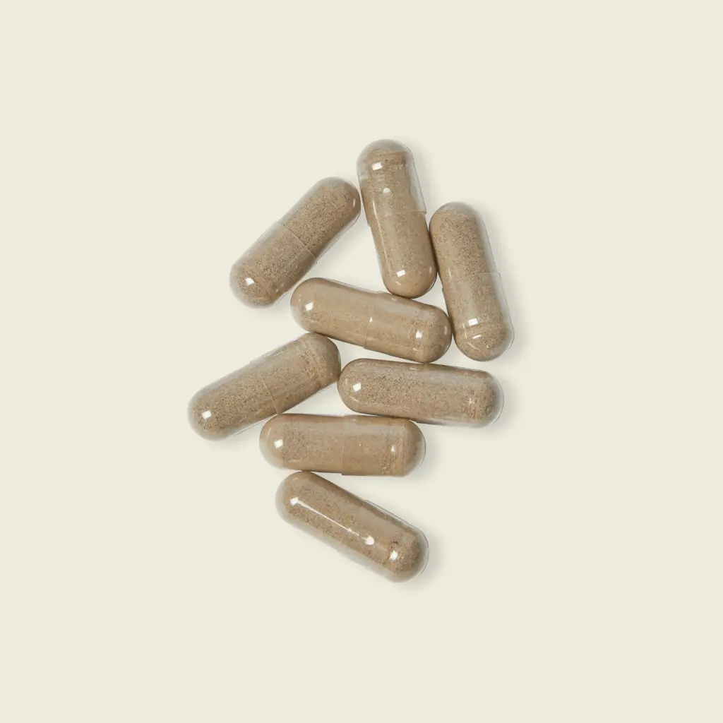 Sense Serenity Vigor Sea Moss Supplement Mockups 6.webp